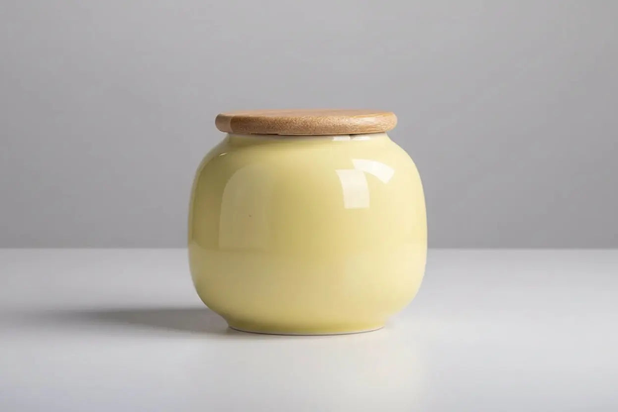 Simplistic European Ceramic Urn Itopia - Pets Aftercare